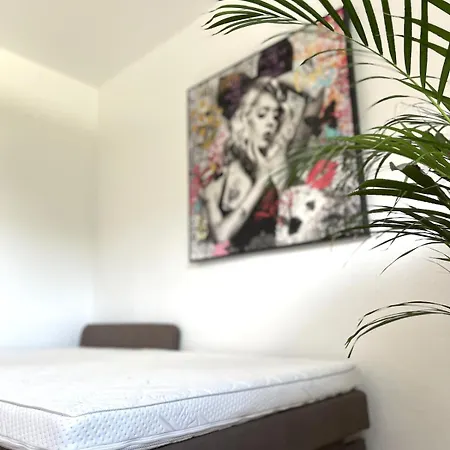 Zwei Moderne In Einem Haus Apartment